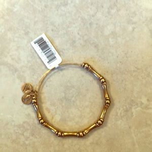 Alex and Ani Bracelet